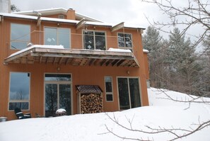 Large windows and sliding doors open onto the forest.