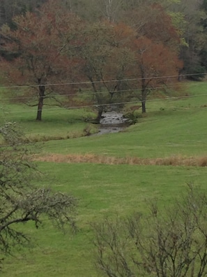 View of pasture from porch/deck