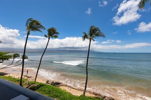 Multi-purpose beach in front of the condo... swim, snorkel, surf, paddle.