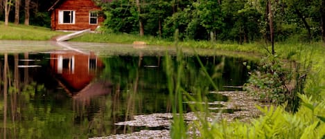 The cabin is located just steps from the pond, which is fed by two springs. 