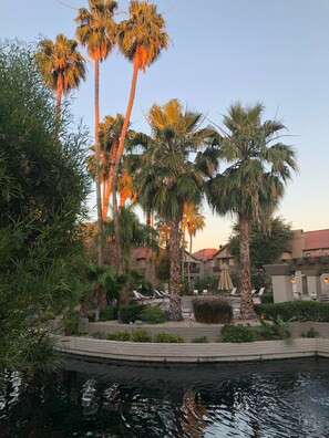 Lagoon around the pool