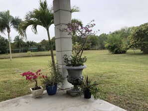 Property grounds