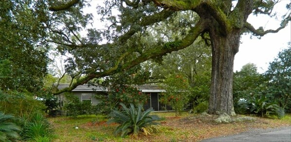 Cottage exterior