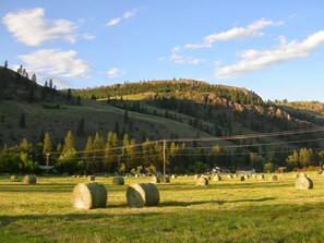 Last years first hay cut