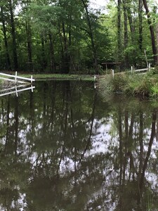 Farm Cabin w/ Fishing, Fire pit, Nature Trails & Swing Set