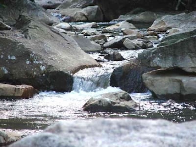 Rustic, Furnished Cabin W/ Electricity Surround By Trees & Whitewater Streams 