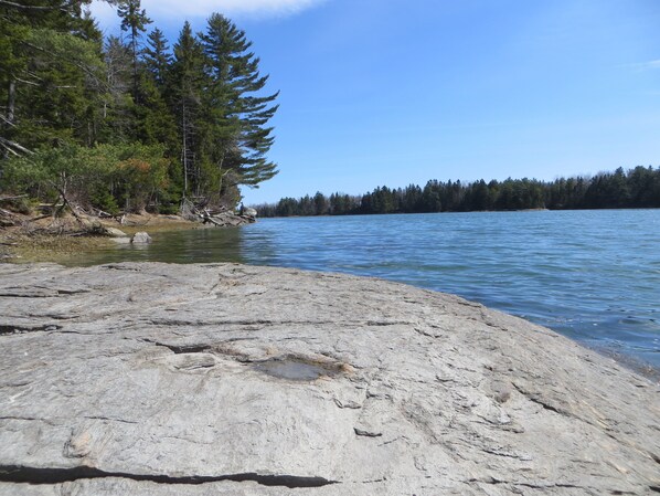 view from the water at high tide