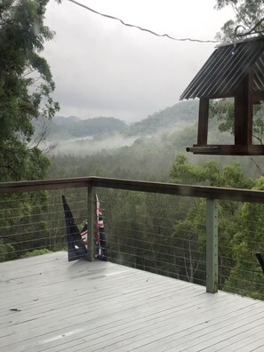 Morning Fog.