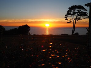 Utsikt mot havet/stranden