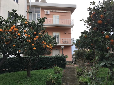 Apartment in DIAMANTE (150 m from the sea / garden / garage)