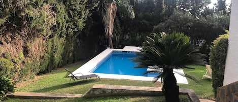 Swimming Pool in the Garden