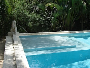 The pool's "tanning shelf" is ideal for lounging!