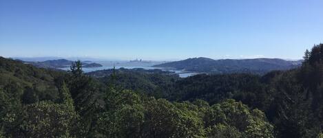 The view of SF (12 miles away) from the trails above our house