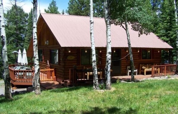 Modern log cabin surrounded by aspen and pine trees