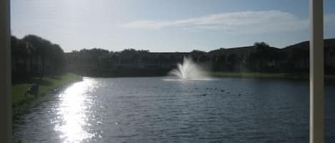 Wonderful view of lake and fountain from the lanai
