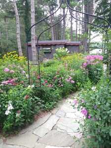 Enchanted Lakeside Cottage Nestled in Perennial Gardens