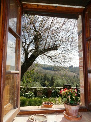 The view out your window, Podere Patrignone, patrignone.com