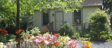 The Yellow Cottage on Harness Creek