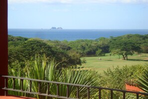 Catalina Island and golf course view