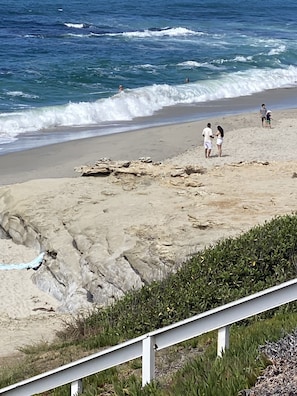 
Windansea beach Bird rock