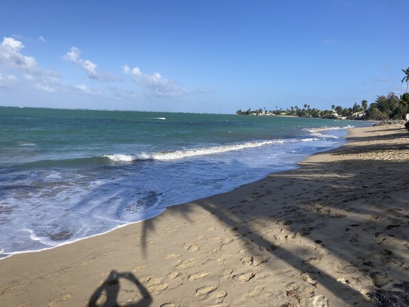 The beach is 150 feet from our door