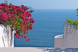 Amazing view