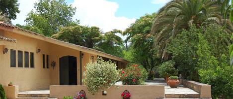 Private parking, surrounded by fruit trees, palms and private gardens