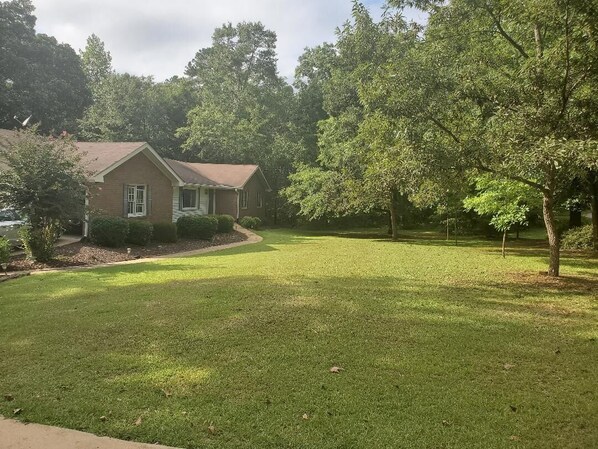 Front Yard
