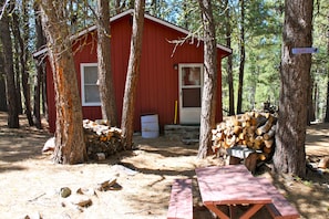 "Squirrelville" cabin