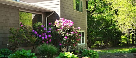 Jardines del alojamiento