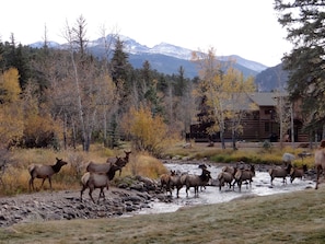 View from deck in the fall