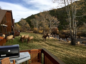 Deck in the fall