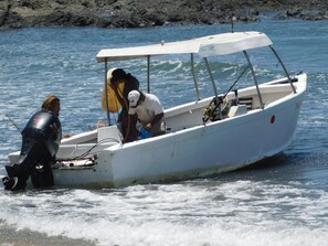 Book a fishing tour, catch your fish of the day :)
