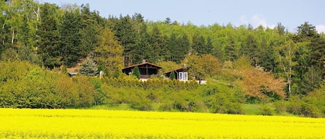 Blick vom Harzvorlandradweg