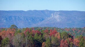 View from deck