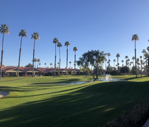 Patio view