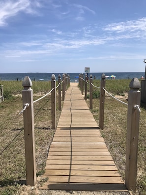 Path to the ocean 