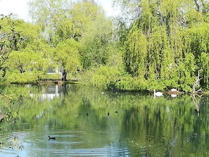 joli étang devant le cottage la Louisiane