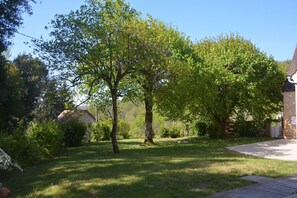 Partie ombragée du jardin 