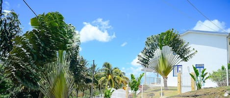 Terrenos do alojamento