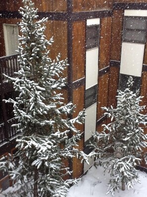 View into complex courtyard during snow fall