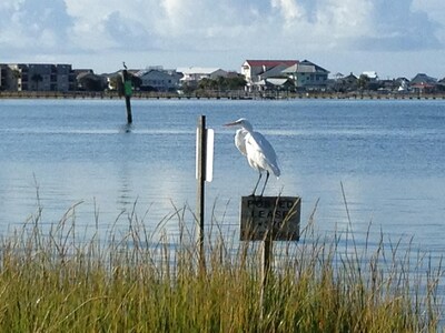 New Listing! Waterfront Bed and Breakfast - walk to Murrells Inlet Restaurants!