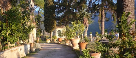 Il viale del giardino