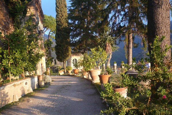 Il viale del giardino