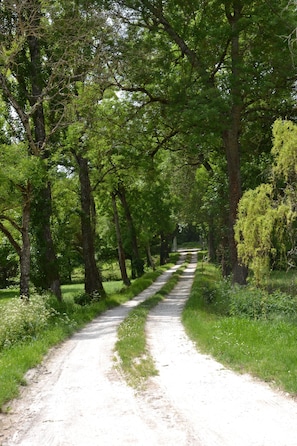 Boendeområde