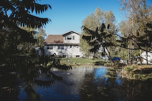 View from pond. Back of cottage 