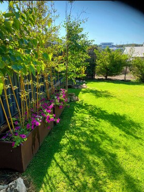 Back garden
