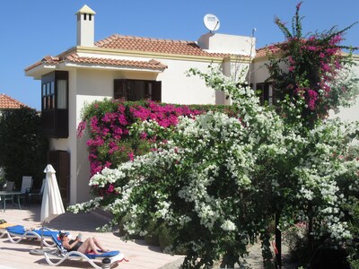 Picture of villa
