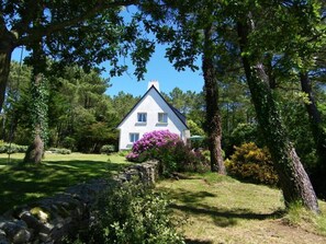 The garden