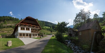 Unsere angrenzenden Wälder sind ein Paradies für Naturliebhaber und Wanderer